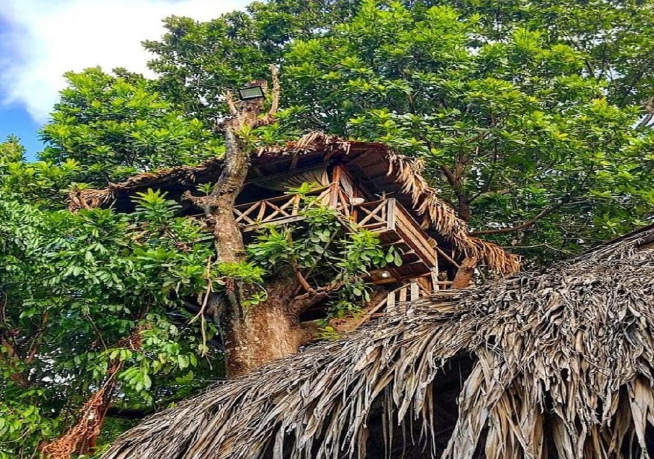 Monte Verde Hostal El Zaino Luaran gambar